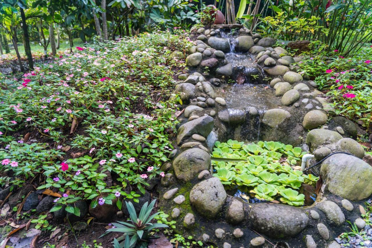 Hotel Vista Del Cerro La Fortuna Exterior foto
