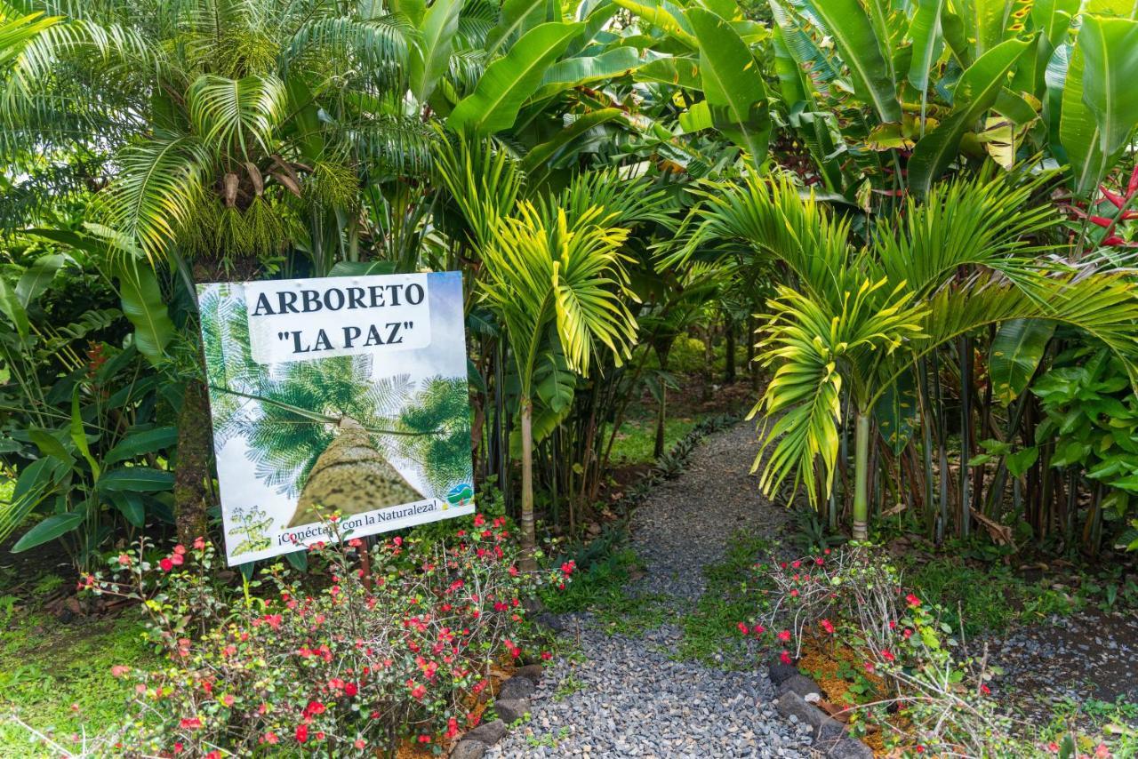 Hotel Vista Del Cerro La Fortuna Exterior foto